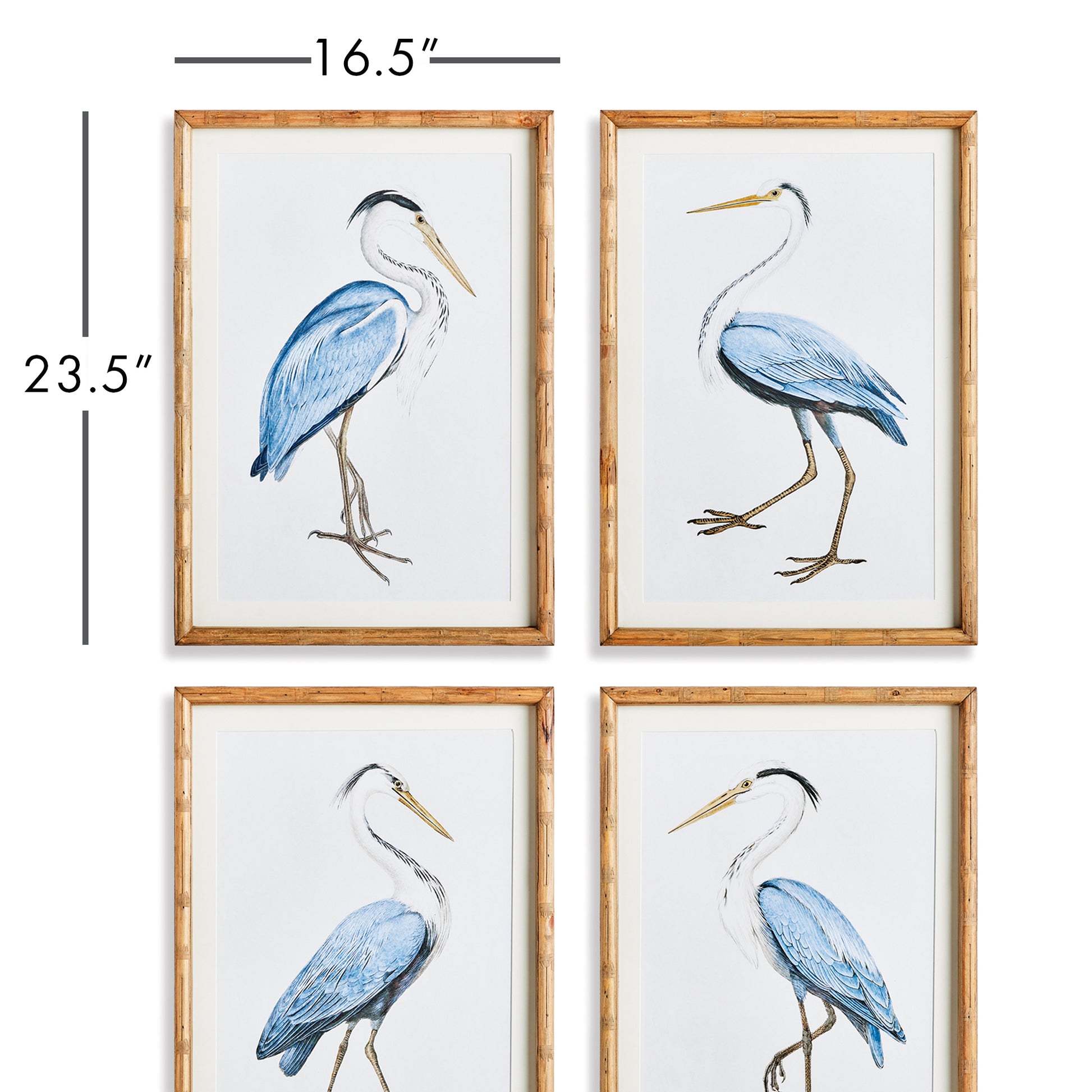 Experience the splendor of nature with the Elegant Blue Heron Wall Prints, Set Of 4. Enclosed in sleek, fir wood frames, these prints offer a sophisticated and charming touch to your beach cottage or villa. Embrace the captivating beauty of nature's finest creatures and elevate the atmosphere of your home with this stunning set.