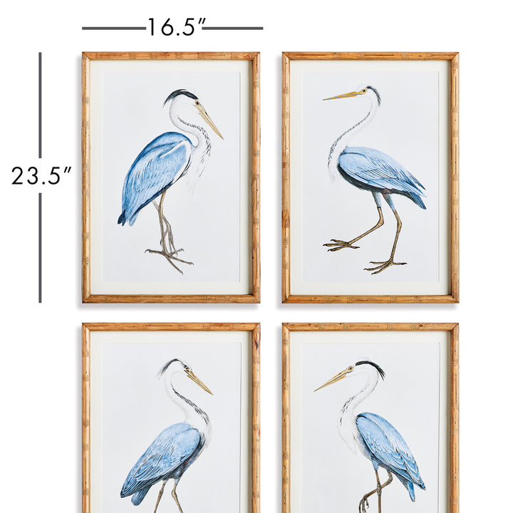 Experience the splendor of nature with the Elegant Blue Heron Wall Prints, Set Of 4. Enclosed in sleek, fir wood frames, these prints offer a sophisticated and charming touch to your beach cottage or villa. Embrace the captivating beauty of nature's finest creatures and elevate the atmosphere of your home with this stunning set.