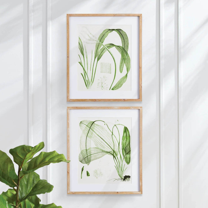 Aquatic Leaf Prints, Set Of 2 - Delamere Design