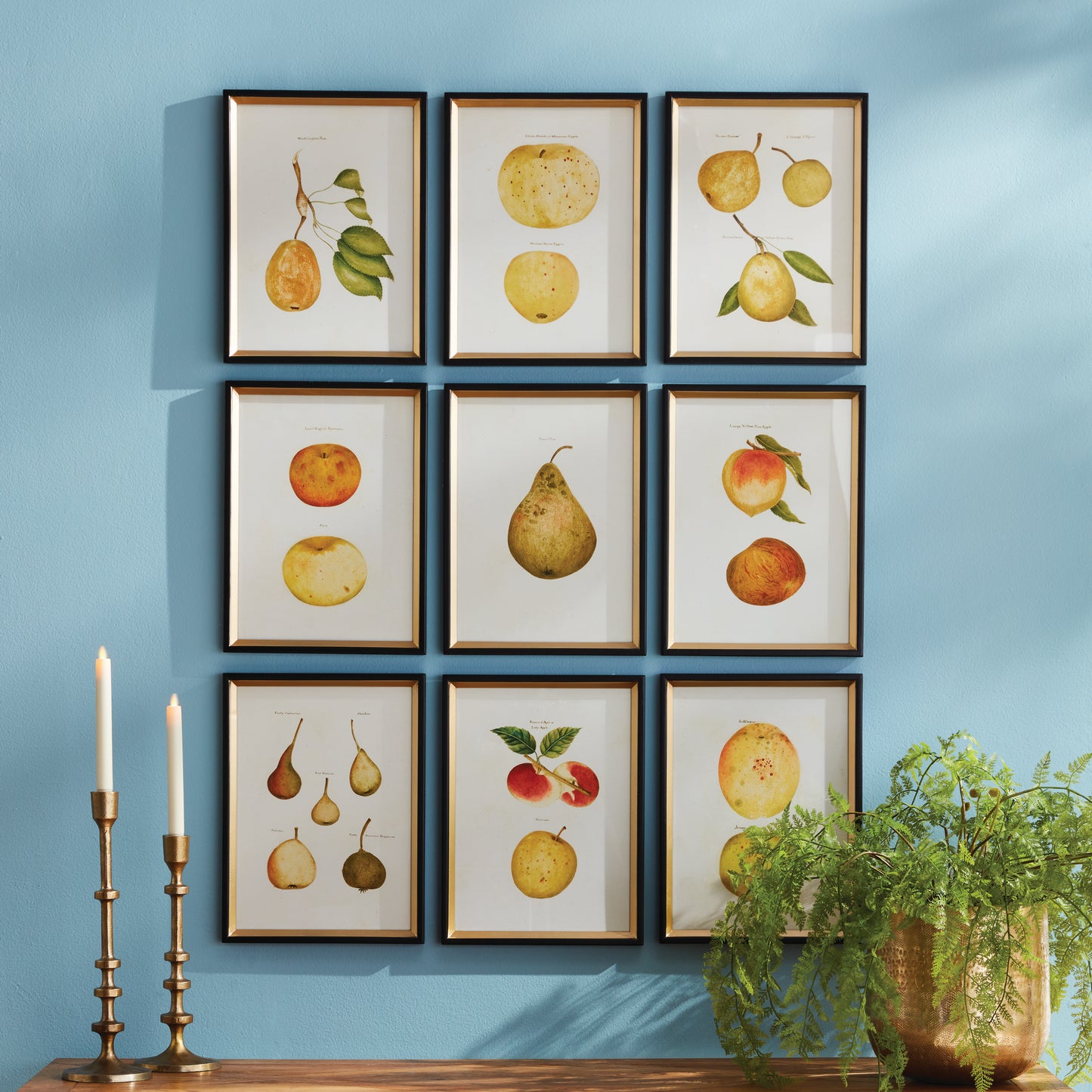 Capturing the intricate details and subtle colors of various fruits, this set of nine study prints is perfect for any art or nature lover. The versatile set can be displayed as a whole or divided into vignettes, making it suitable for any sized space. Delve into the beauty of the artist's frequent subject with this extensive, yet simple set that highlights the subtlety of color and form in each variety.