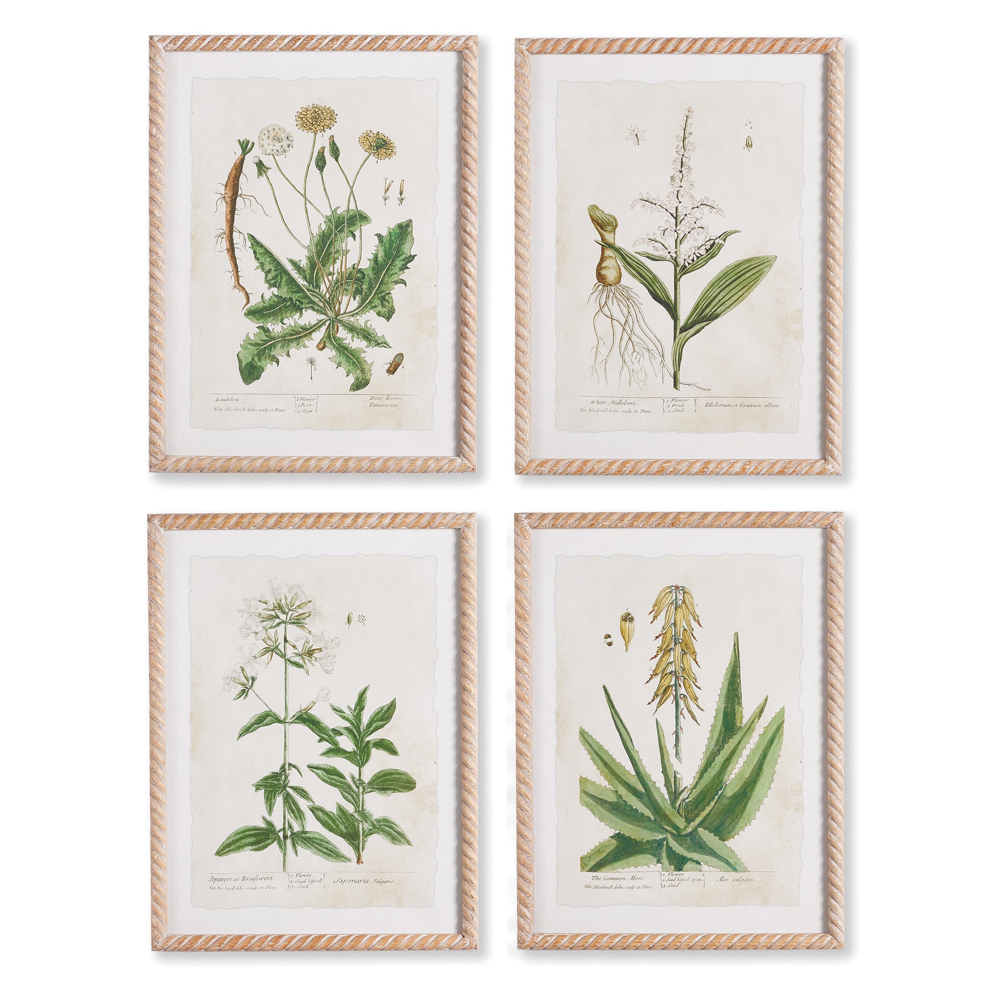 Feminine in nature, these vintage botanicals are perfect for powder room or bedroom. In soothing neutral tones, they are a classic accent for the well-appointed space.