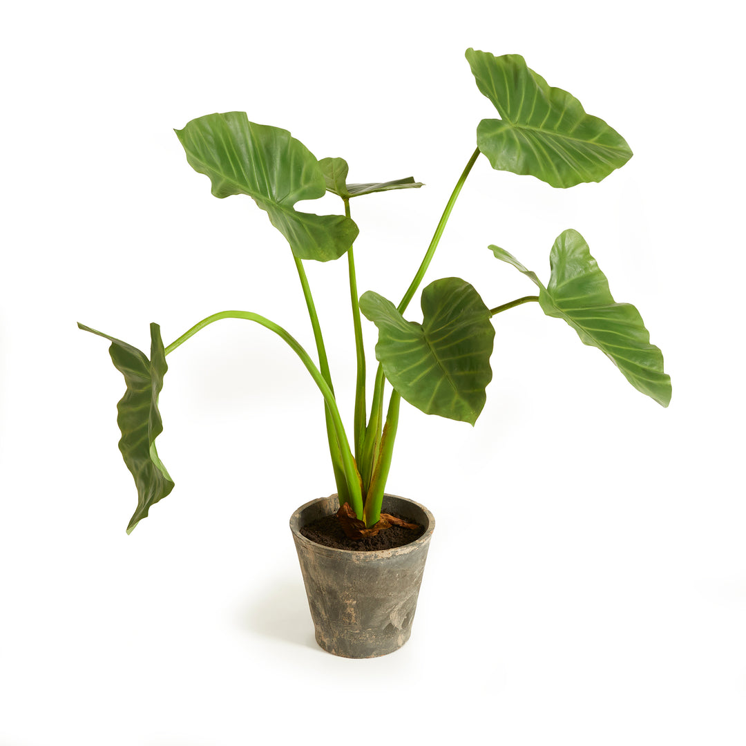 Alocasia Artificial Flora Potted 42"