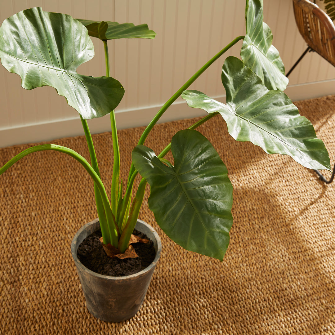 Alocasia Artificial Flora Potted 42"