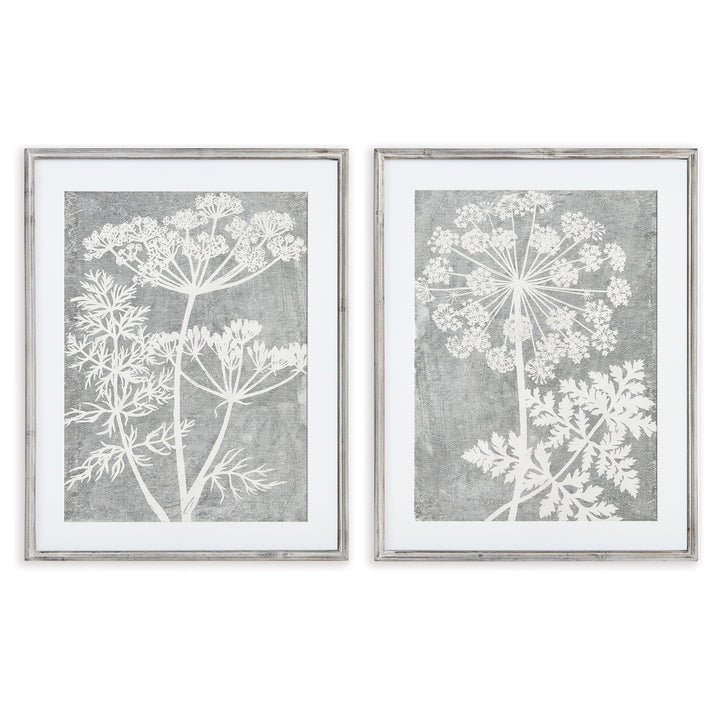 Monochrome Botanical Wall Prints, Set Of 2