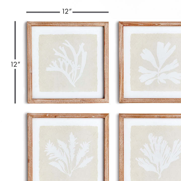 Elevate your coastal aesthetic with these four kelp silhouette prints, thoughtfully designed with a balance of positive and negative space. Featuring a versatile color palette, these prints effortlessly enhance any neutral space, showcasing the captivating beauty of the ocean. As a perfect representation of the sea, these prints are sure to add a touch of elegance and sophistication to your home decor.