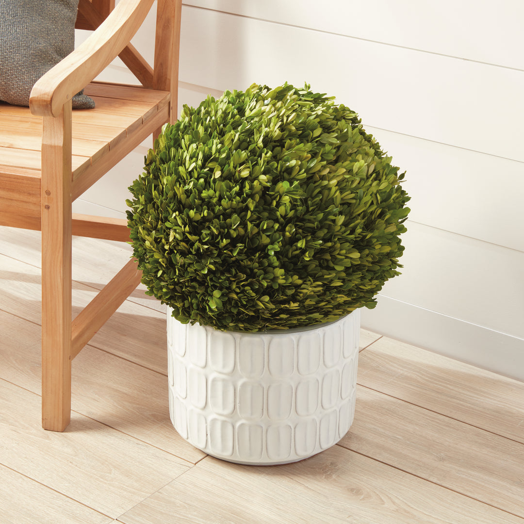 English Boxwood Ball 16"