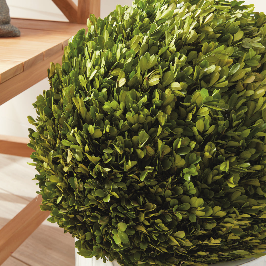 English Boxwood Ball 16"