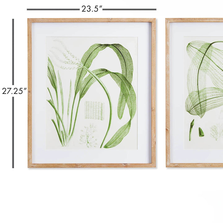 Aquatic Leaf Prints, Set Of 2 - Delamere Design