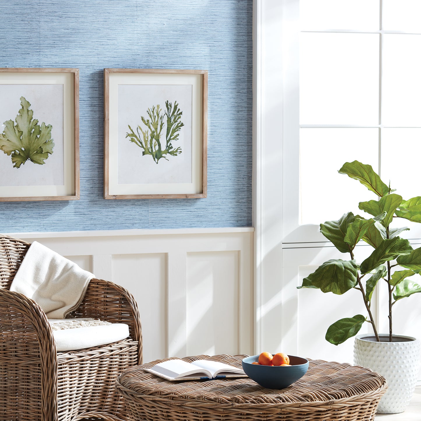 As refined in appearance as they are in size, these kelp wall prints embody the essence of sophisticated coastal living. With a delicate watercolor design and frames made of natural wood with a washed finish, these wall prints are perfect for any coastal themed home. 