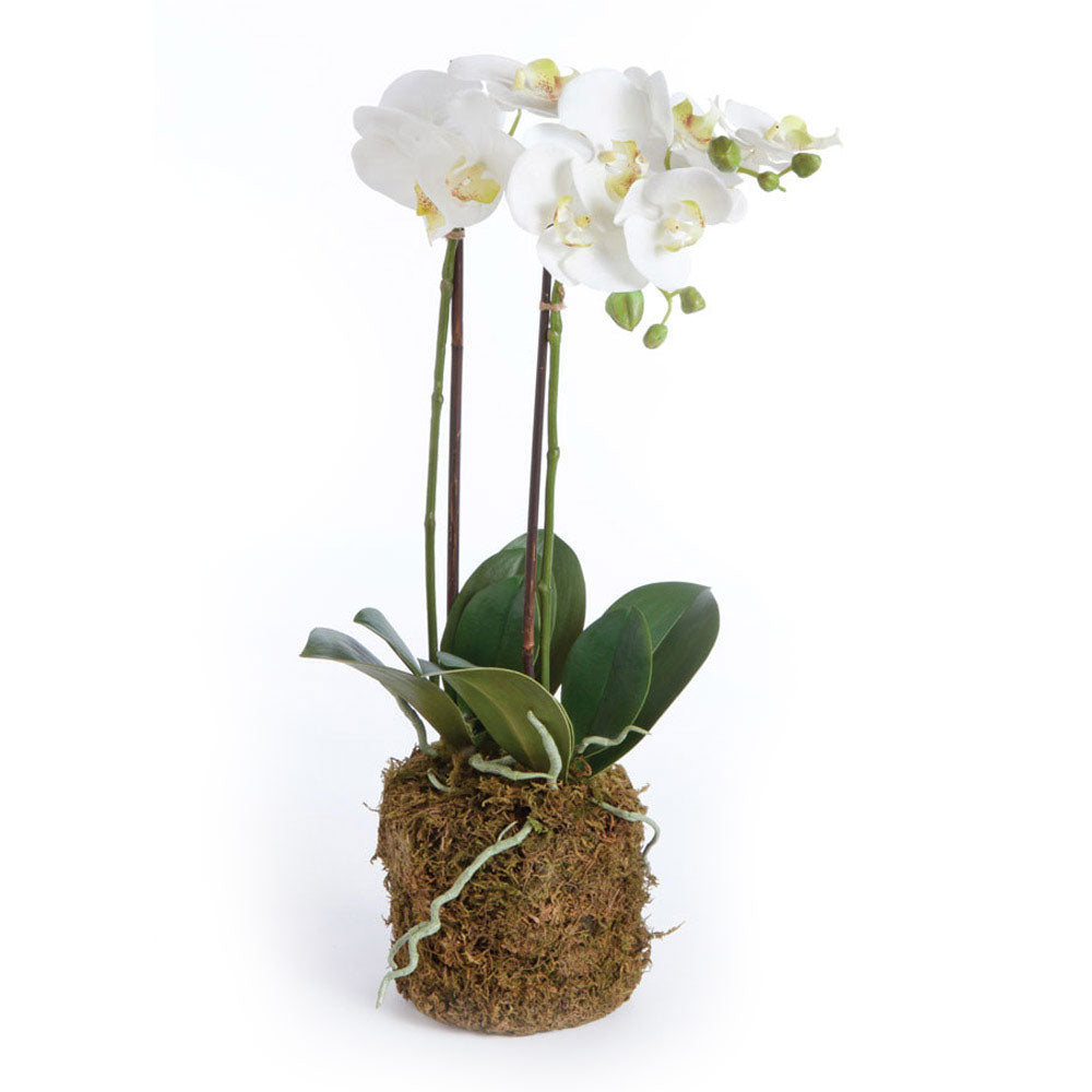 Our Phalaenopsis is totally realistic. A perfect copy of nature. You'd need a botanist to tell the difference.