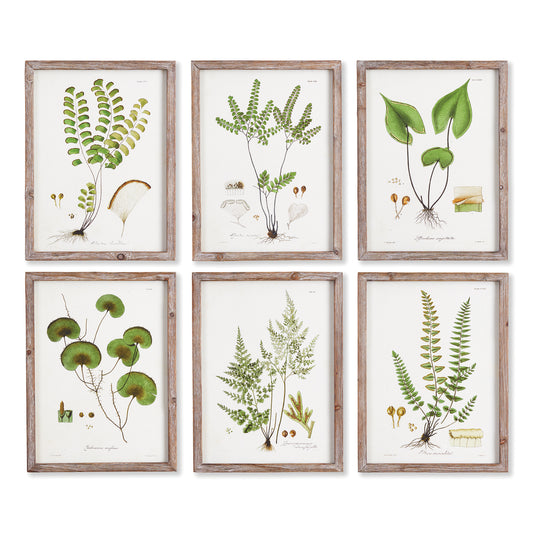 This set of wildly diverse and unusual garden greens is a handsome collection. Finished off with simple, whitewashed wood frames, a beautiful way to furnish home office, study or entry.