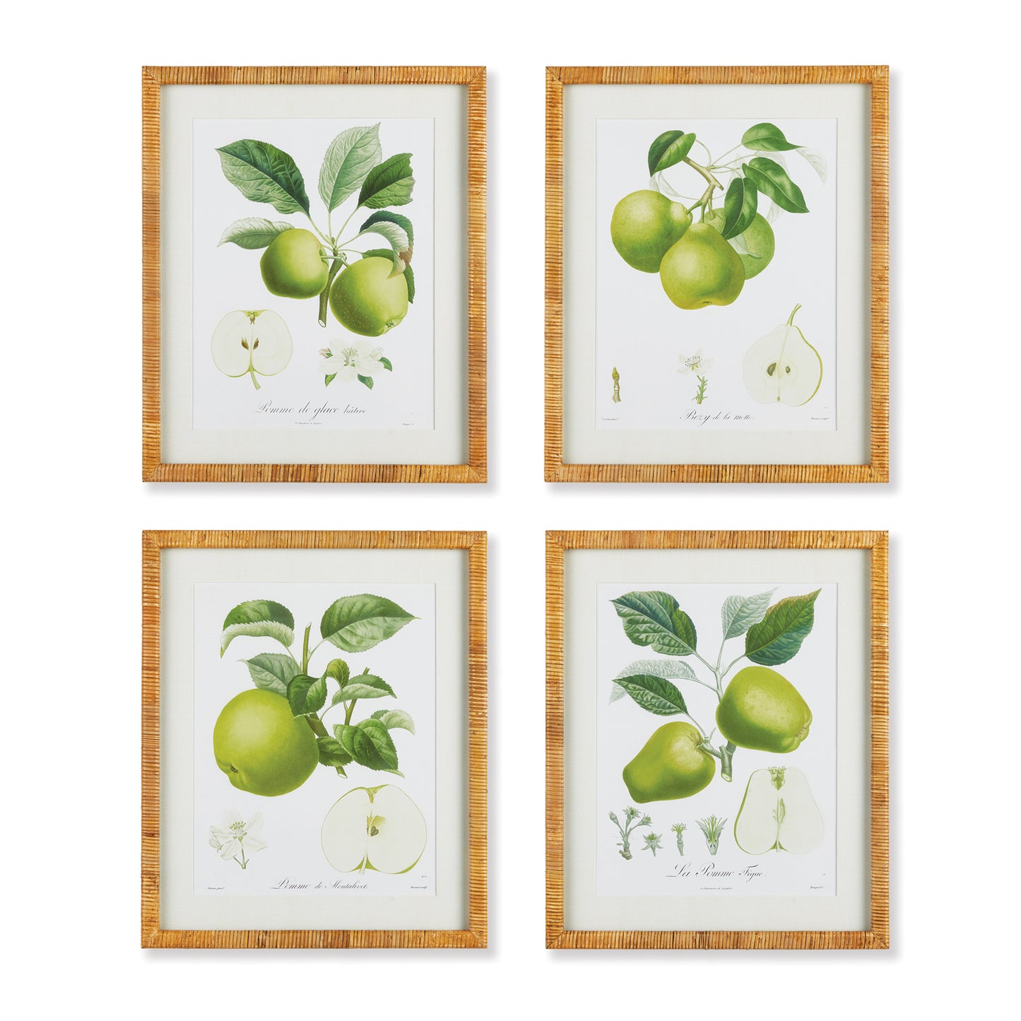 This set of four coordinating fruit studies offers a detailed look at the splendid beauty of nature. Each piece a study of a different fruit from apples to pears, all in soothing green tones.  From the closer look of a cross-section to the substantial leaves, a truly magnificent subject. Finished in a wrapped rattan frame.