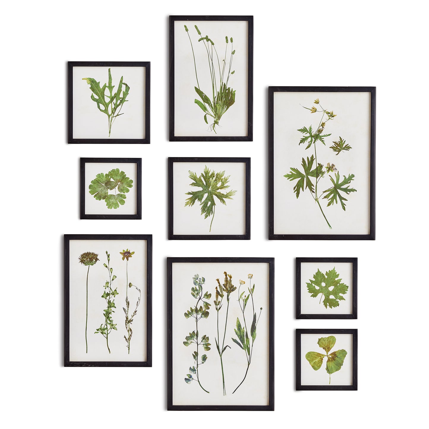 These traditional botanical foliage study prints are a study of foliage that's vibrant green, complimented with a black wood frame. This handsome set of nine was carefully curated to create a stunning salon style arrangement, but can also be split up into sets for smaller spaces. A stunning choice for home office or study.