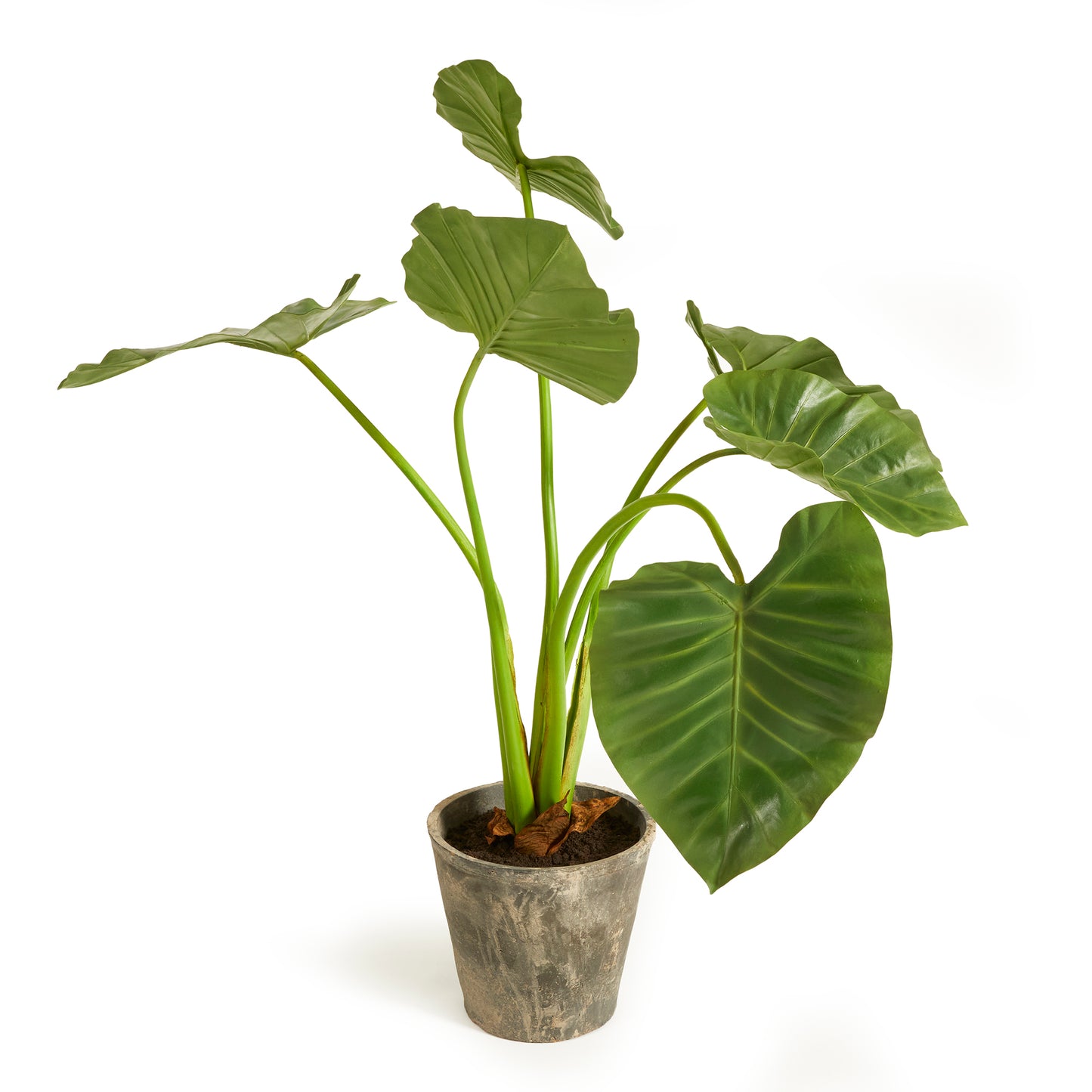 Alocasia Artificial Flora Potted 42"