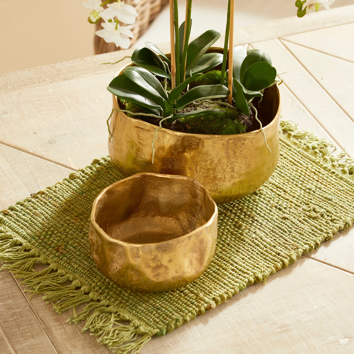 Expertly designed with a touch of nature in mind, these cachepots feature a modern, organic shape and a natural hammered texture that adds a unique and refreshing touch to your indoor greenery collection. Perfect for showcasing cherished orchids or vibrant green plants, these planters are sure to impress with their sleek and natural design.