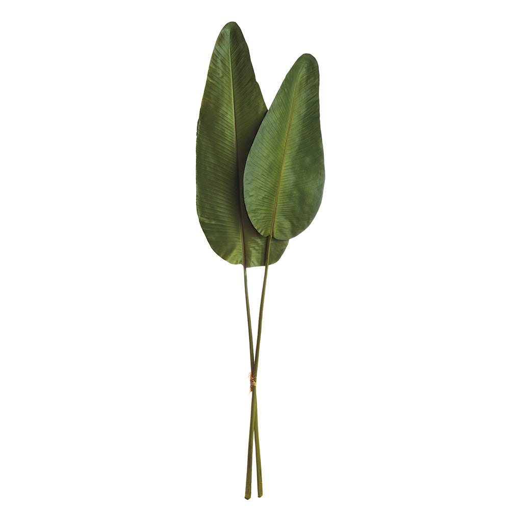 Strelitzia Leaf 63", Bundle Of 2 *Discontinued