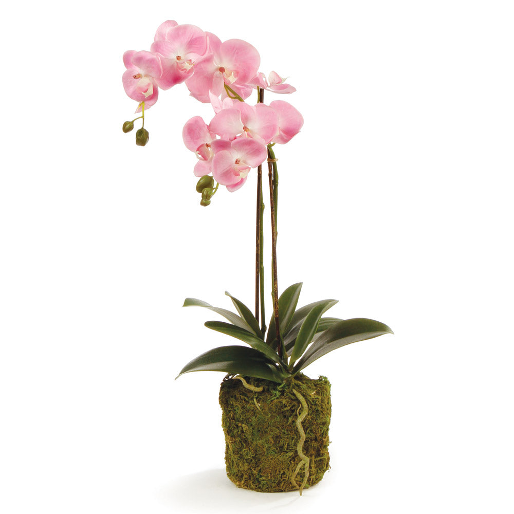 Phalaenopsis Pink Orchid Drop-In 23"