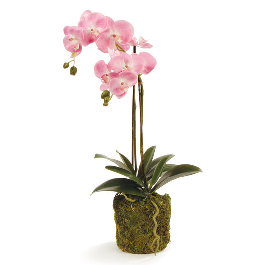 Phalaenopsis Pink Orchid Drop-In 23"