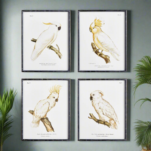 These timeless parrot prints feature a neutral palette with a classic British Colonial style that will elevate any coastal or traditional home. Their expert design is perfect for adding a touch of natural beauty to any space. This set of 4 wall prints will surely enhance the look of your home.