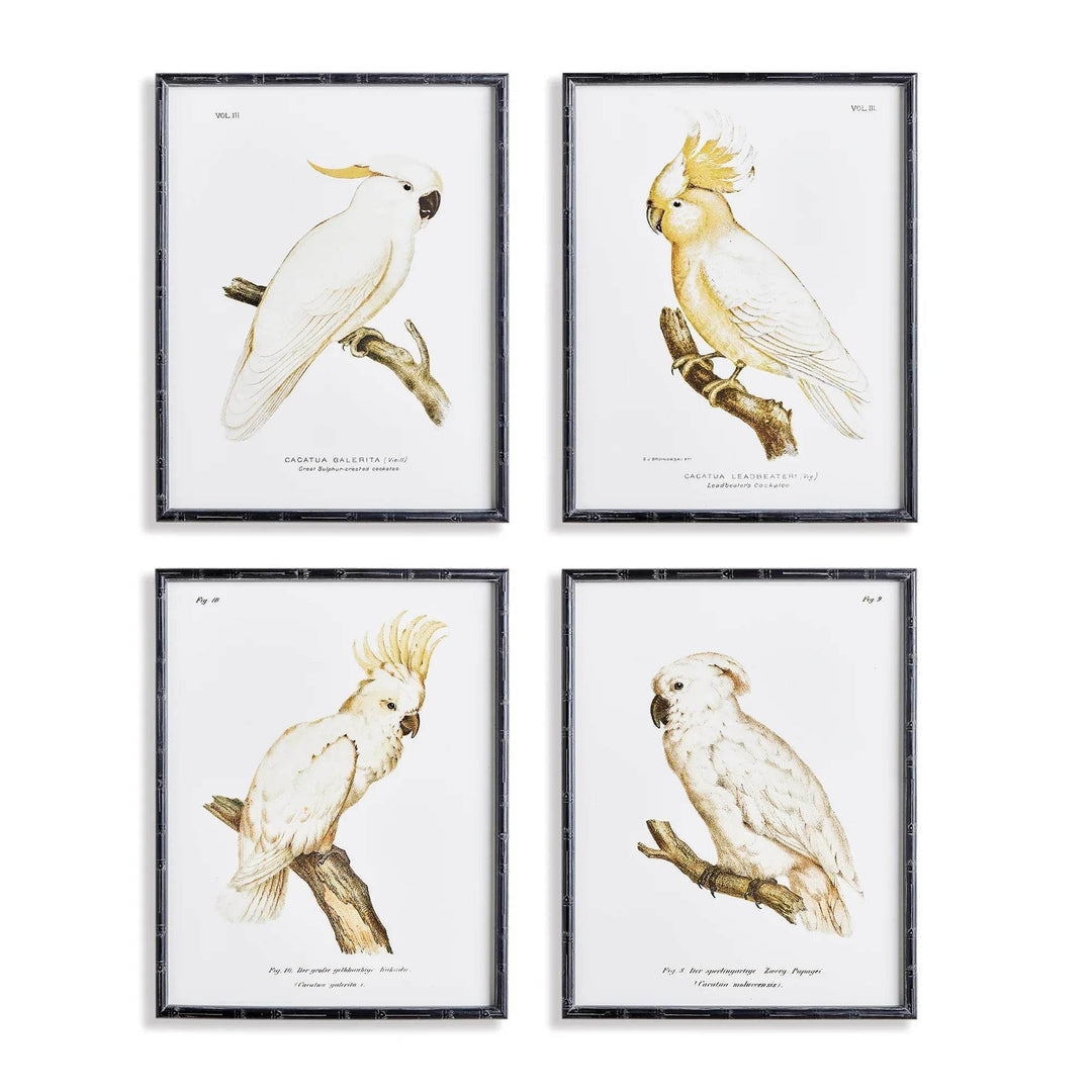 These timeless parrot prints feature a neutral palette with a classic British Colonial style that will elevate any coastal or traditional home. Their expert design is perfect for adding a touch of natural beauty to any space. This set of 4 wall prints will surely enhance the look of your home.