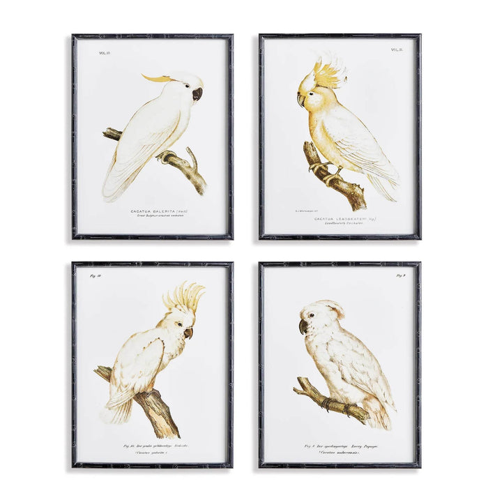 These timeless parrot prints feature a neutral palette with a classic British Colonial style that will elevate any coastal or traditional home. Their expert design is perfect for adding a touch of natural beauty to any space. This set of 4 wall prints will surely enhance the look of your home.