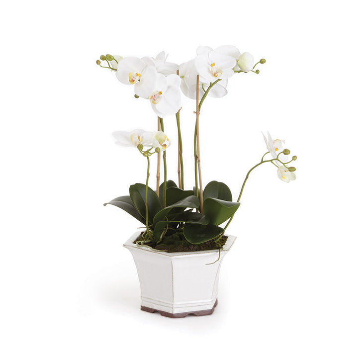 Barclay Butera White Orchid In Ceramic Planter Pot 18.5"