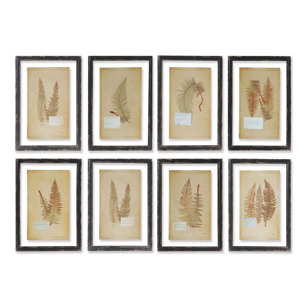 As if pinned down and studied by a French botanist, these prints are true to trompe l'oeil style. Complete with scribbled and typed notecards, sure to get a second glance by your curious guests.