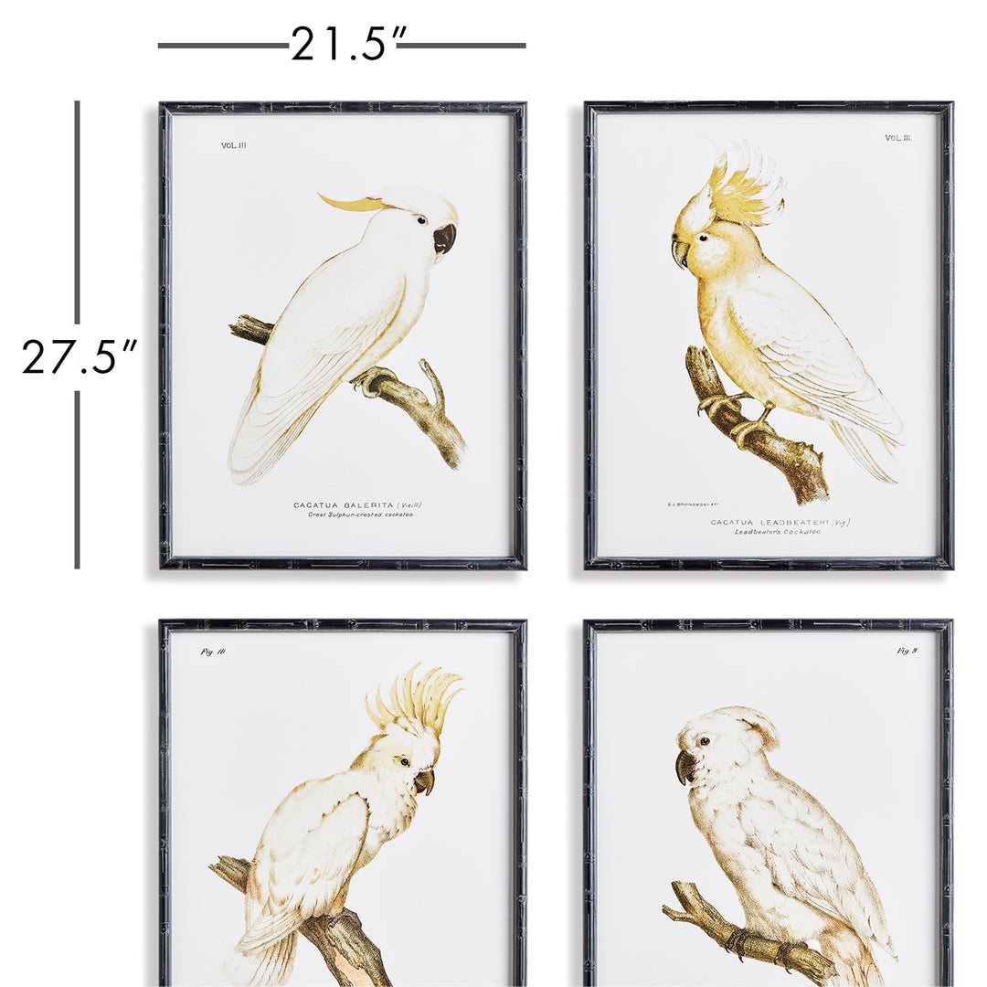 These timeless parrot prints feature a neutral palette with a classic British Colonial style that will elevate any coastal or traditional home. Their expert design is perfect for adding a touch of natural beauty to any space. This set of 4 wall prints will surely enhance the look of your home.