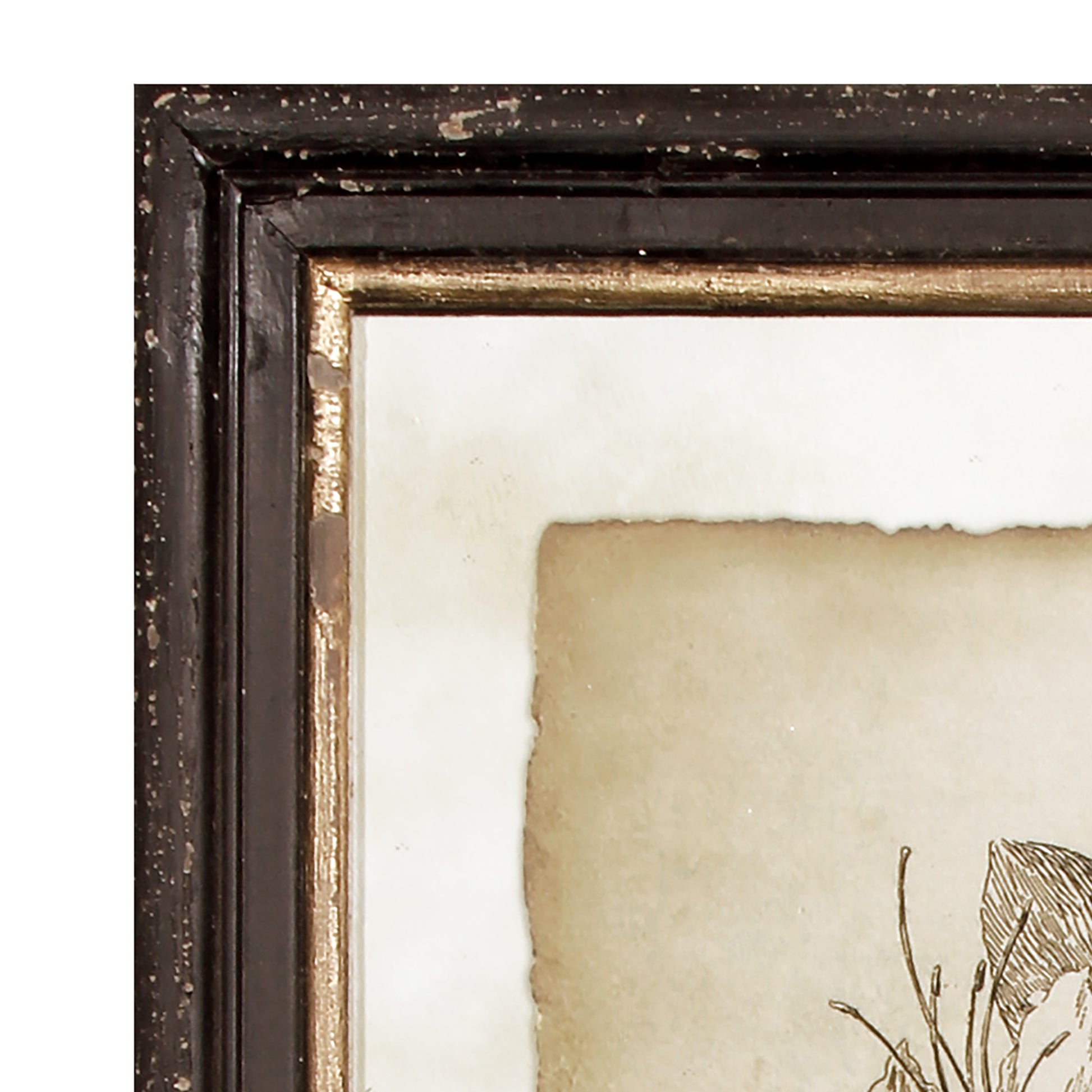 The dark, rich tones of these highly detailed illustrations creates a handsome, formal look. The distressed black and gold gilded accents of the frames also add a classic formality.