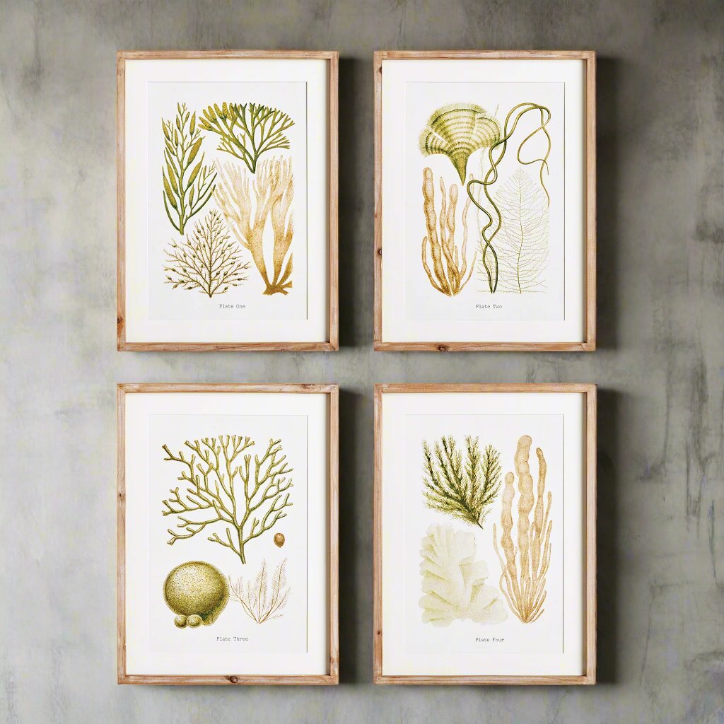 Elevate your home decor with these beautifully crafted coral Study wall prints in a coastal themed style. Designed to add warmth and sophistication, these pieces pair burnt amber tones and rich verdant hues with a simple whitewashed wood frame. Perfect for creating an upscale coastal cottage aesthetic, these prints are a must-have addition to any room.