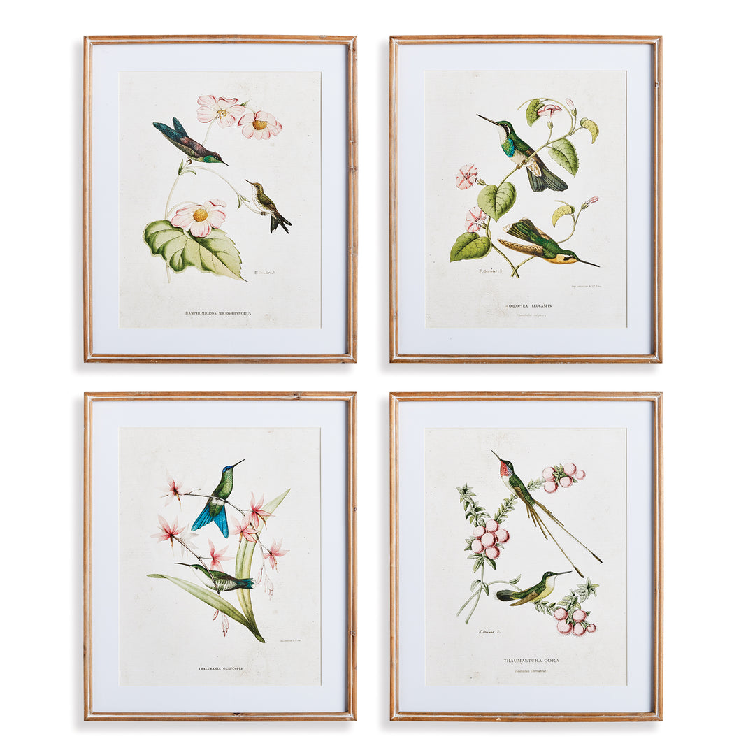 Hummingbirds With Blush Blooms, Set Of 4