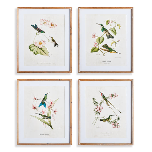 Incredibly intricate, yet whimsical in style, these hummingbird prints are a traditional set. May be hung together, or separated into smaller pairs. Finished off with mats and carved fir wood frames, a great way to dress your walls in classic style.