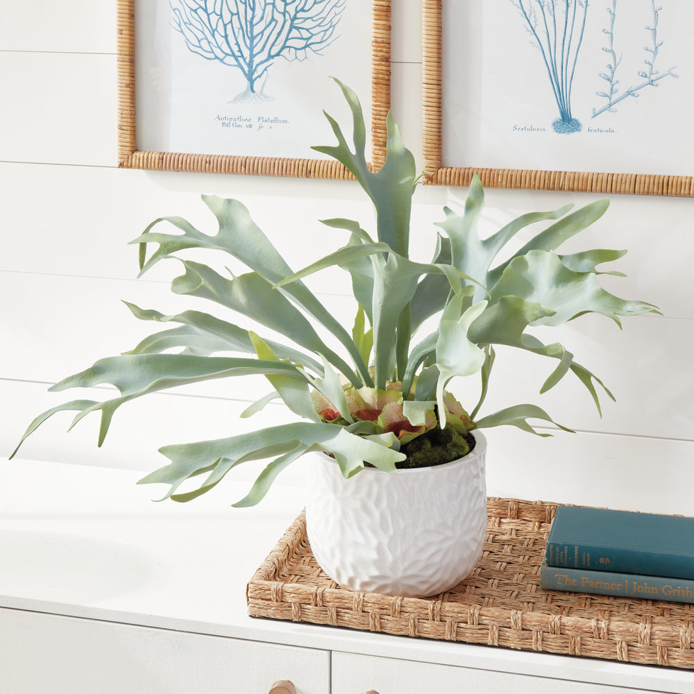 Staghorn Artificial Fern Drop-In 21"