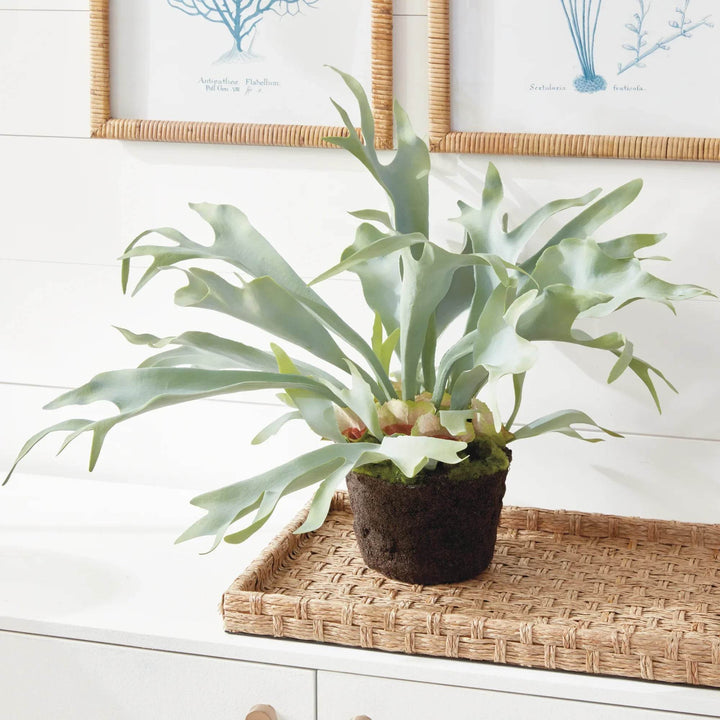Staghorn Artificial Fern Drop-In 21"