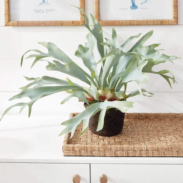 Staghorn Artificial Fern Drop-In 21"
