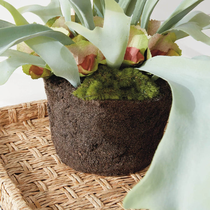 Staghorn Artificial Fern Drop-In 21"