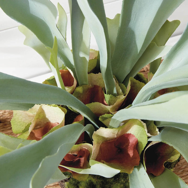 Staghorn Artificial Fern Drop-In 21"