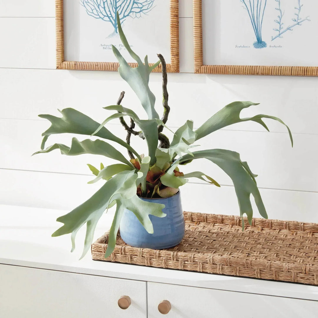 Staghorn Artificial Fern Drop-In 22"