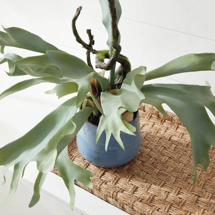 Staghorn Artificial Fern Drop-In 22"