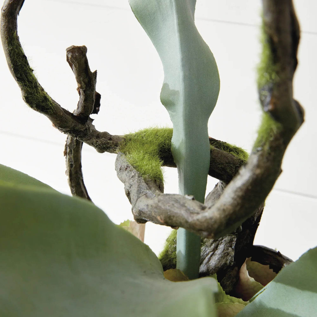 Staghorn Artificial Fern Drop-In 22"