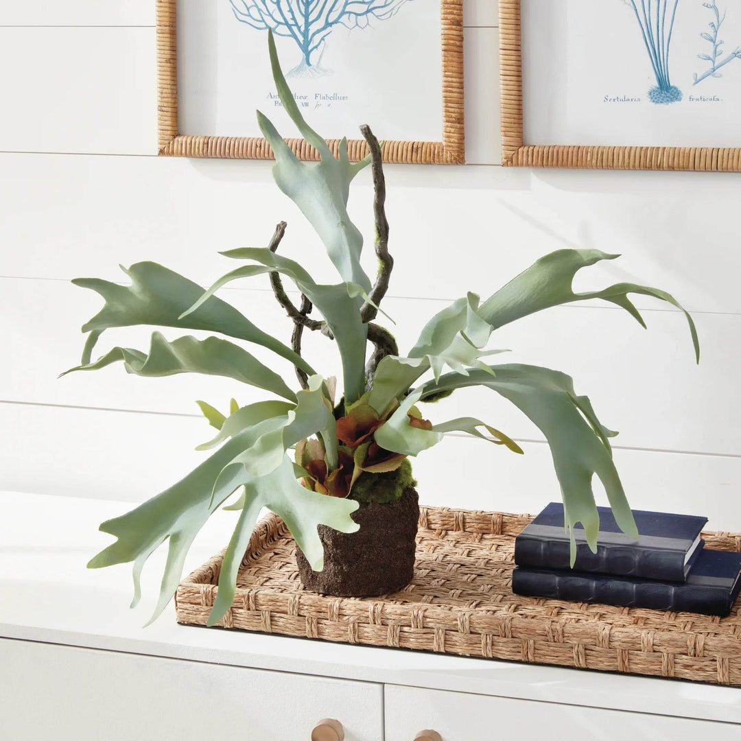 Staghorn Artificial Fern Drop-In 22"