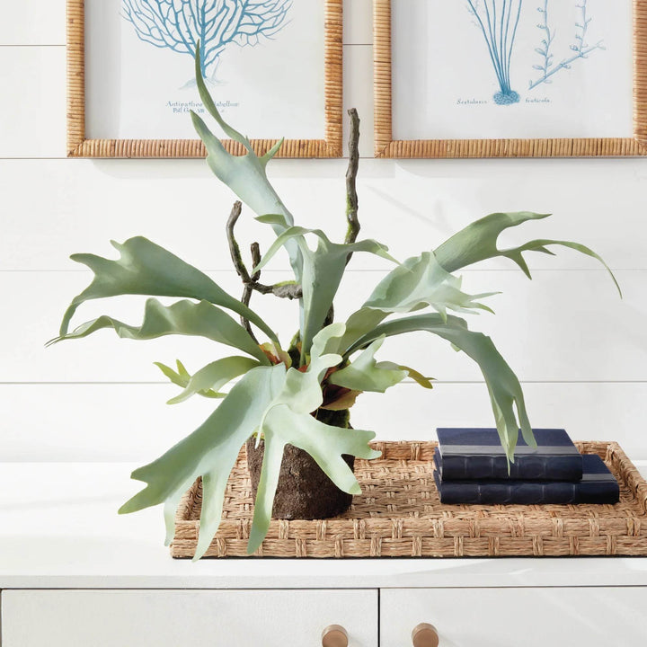Staghorn Artificial Fern Drop-In 22"