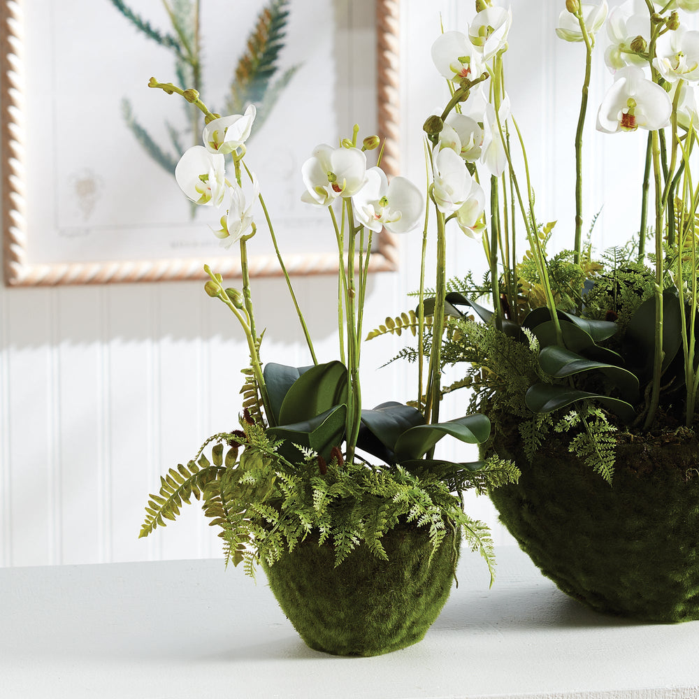 Realistic Moth Orchid & Fern Artificial Plant – 18"