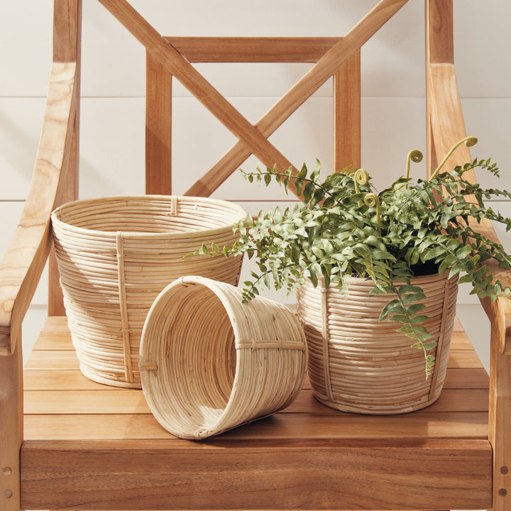 Cane Rattan Mini Round Baskets, Set Of 3