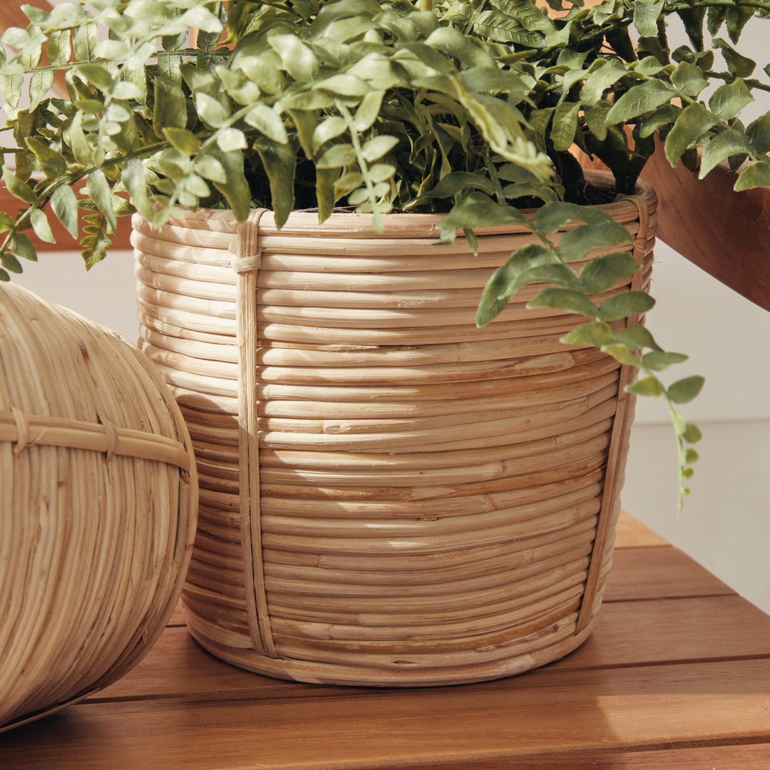 Cane Rattan Mini Round Baskets, Set Of 3