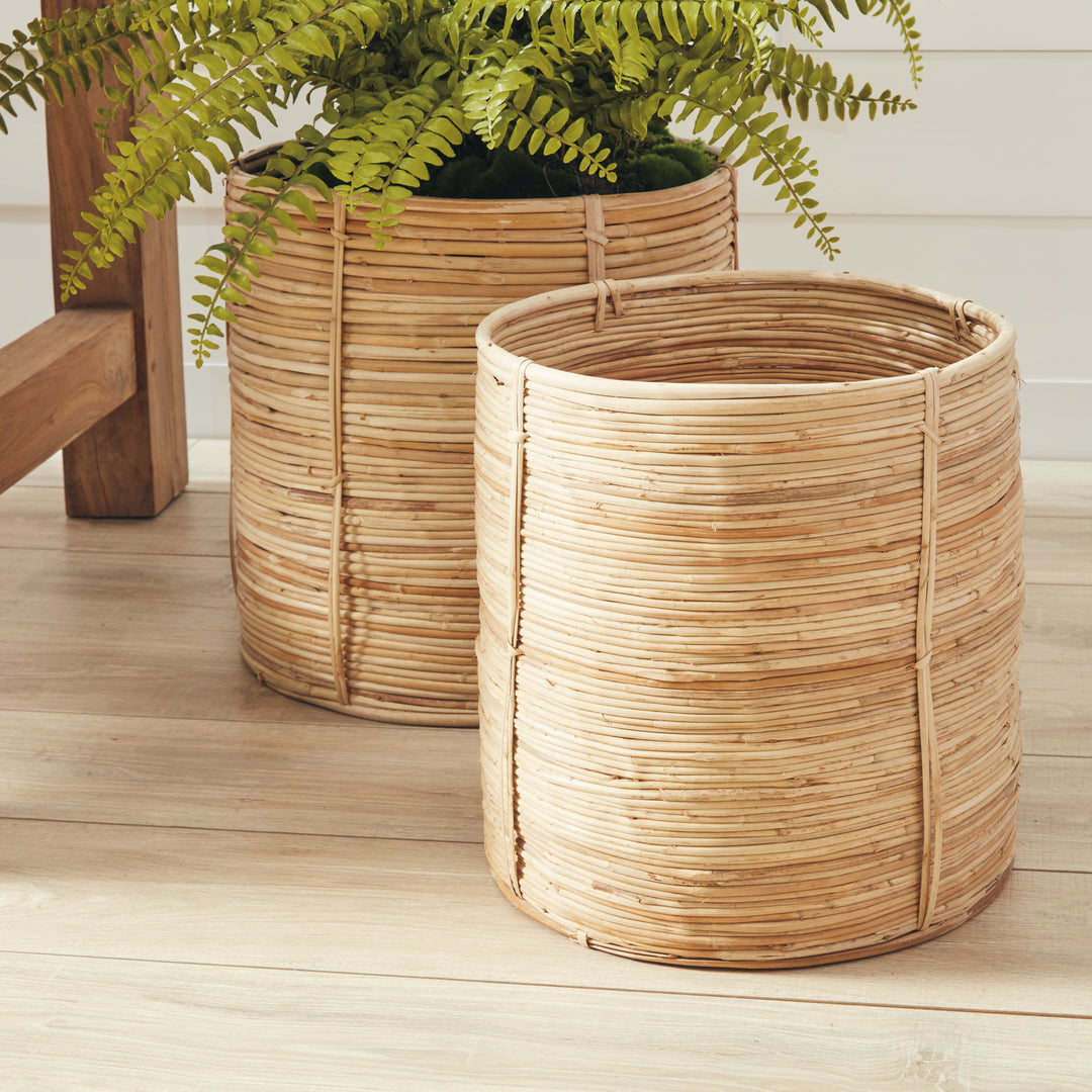 Cane Rattan Round Tree Baskets, Set Of 2