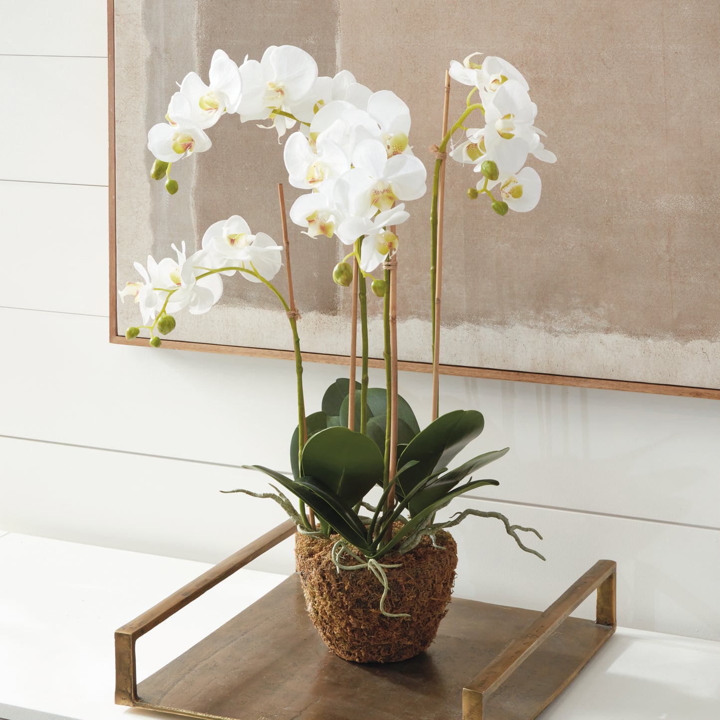 Phalaenopsis Orchid Drop-In, 30"