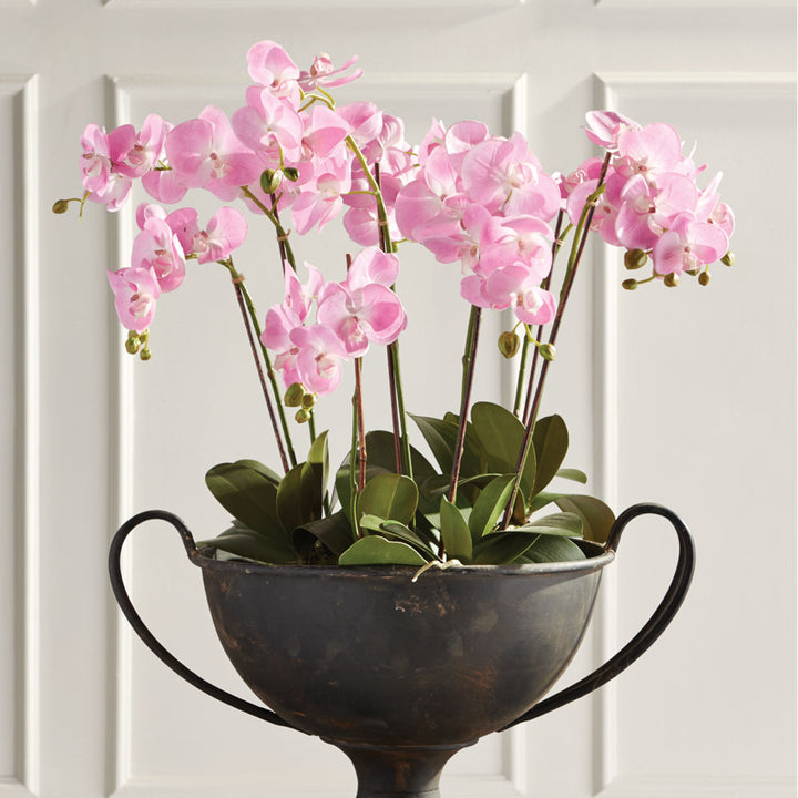 Phalaenopsis Orchid Drop-In, 30"