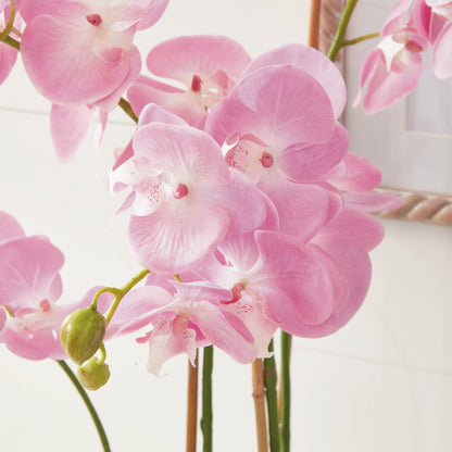 Phalaenopsis Orchid Drop-In, 30"