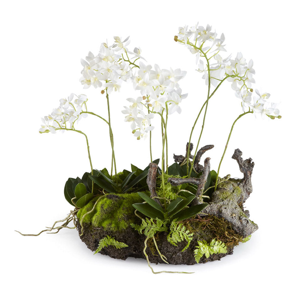 Mini Dendrobium With Rustic Drop-In 16"